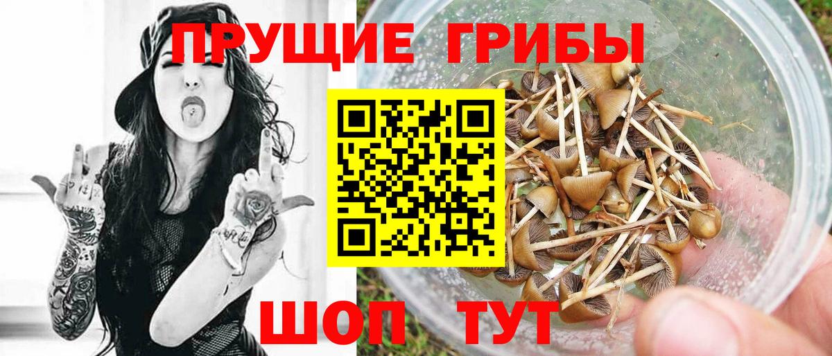 цена   Галлюциногенные грибы мухоморы  Вход с VPN  Крымск 